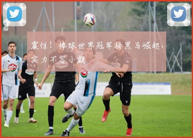 震惊！棒球世界冠军榜黑马崛起，实力不容小觑