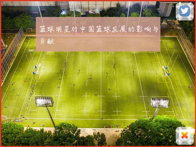 篮球明星对中国篮球发展的影响与贡献